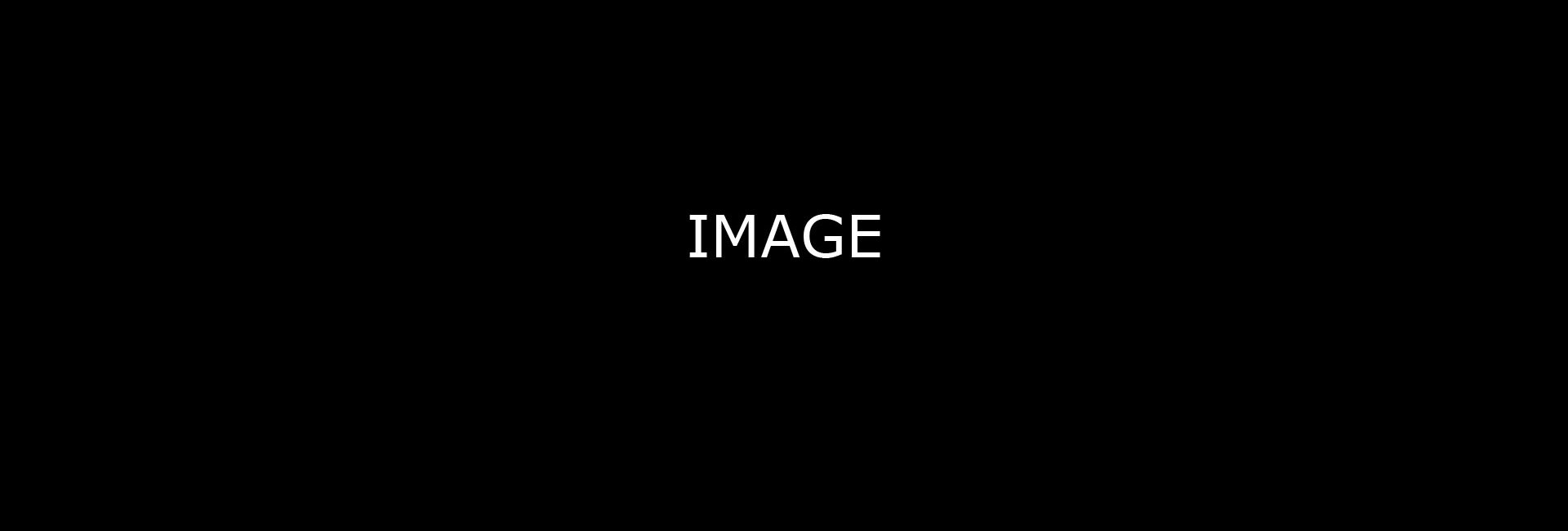 Image Alt Goes Here